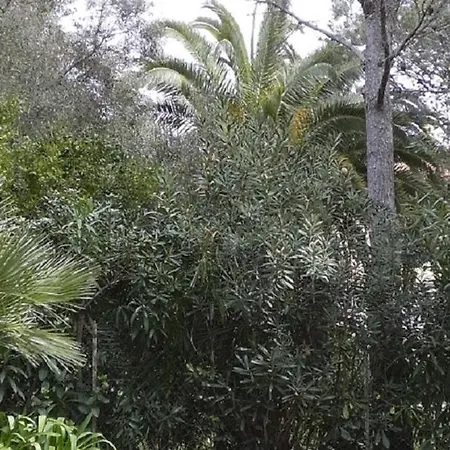 Le La Licorne * Saint-Raphael (Var)