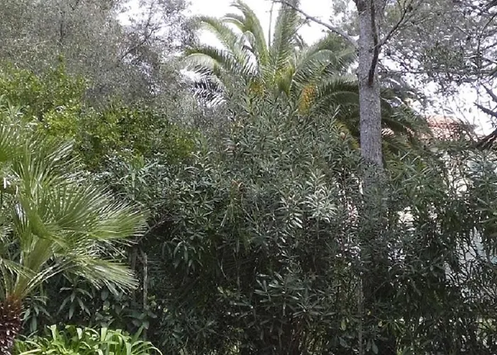 Le La Licorne * Saint-Raphael (Var)